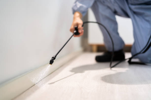 Bed Bug Pre-Treatment Preparation Assessment in Rutherford